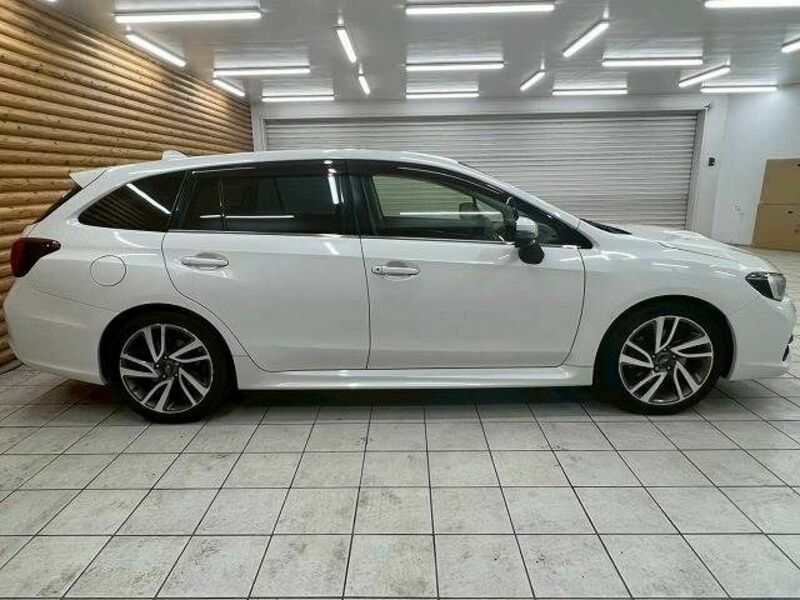 LEVORG