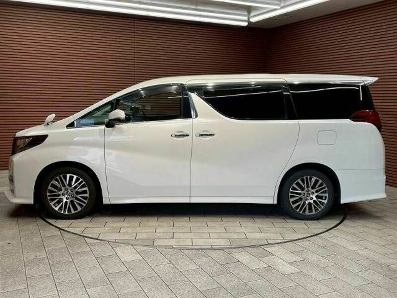 ALPHARD-10