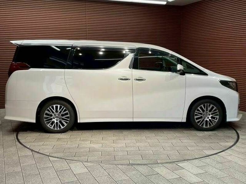 ALPHARD-13