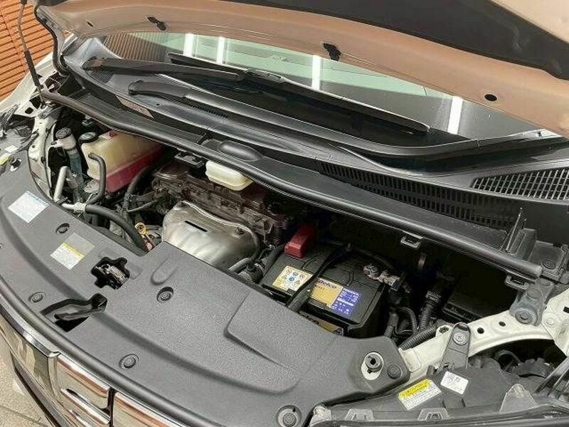 ALPHARD-19