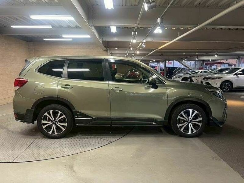 FORESTER