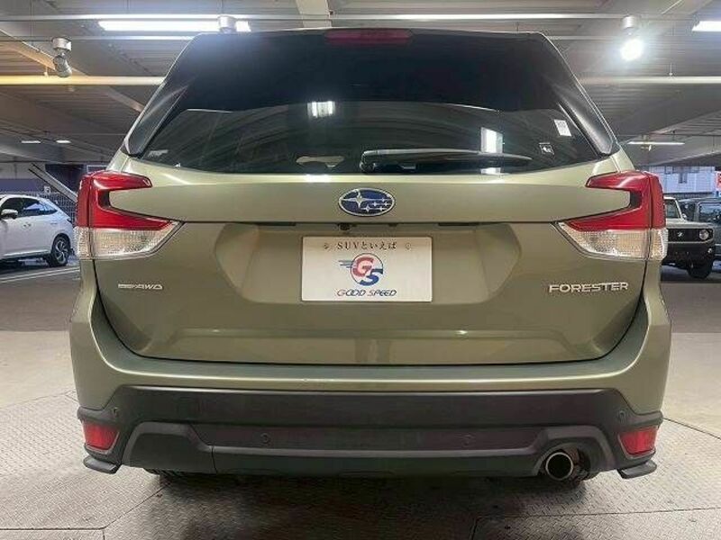 FORESTER