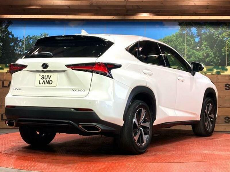 NX
