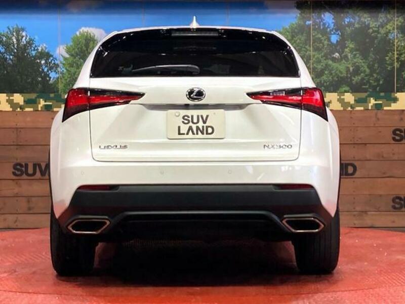 NX