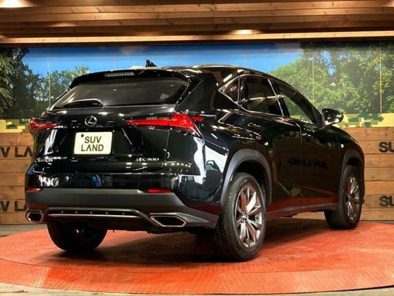 NX