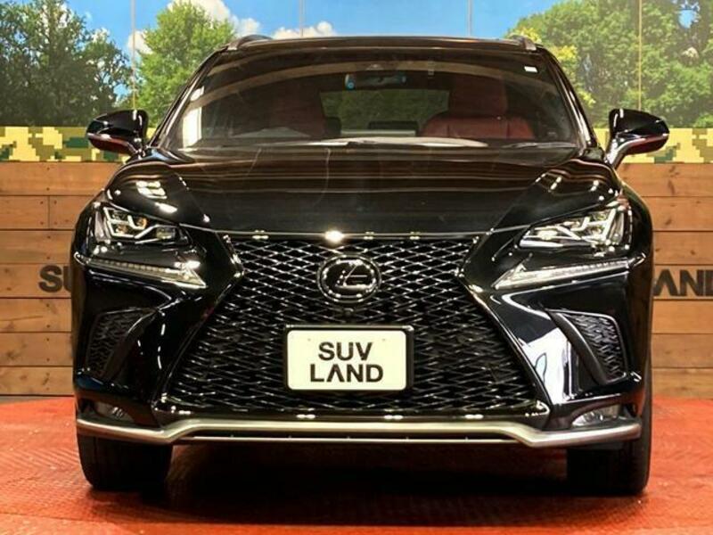 NX
