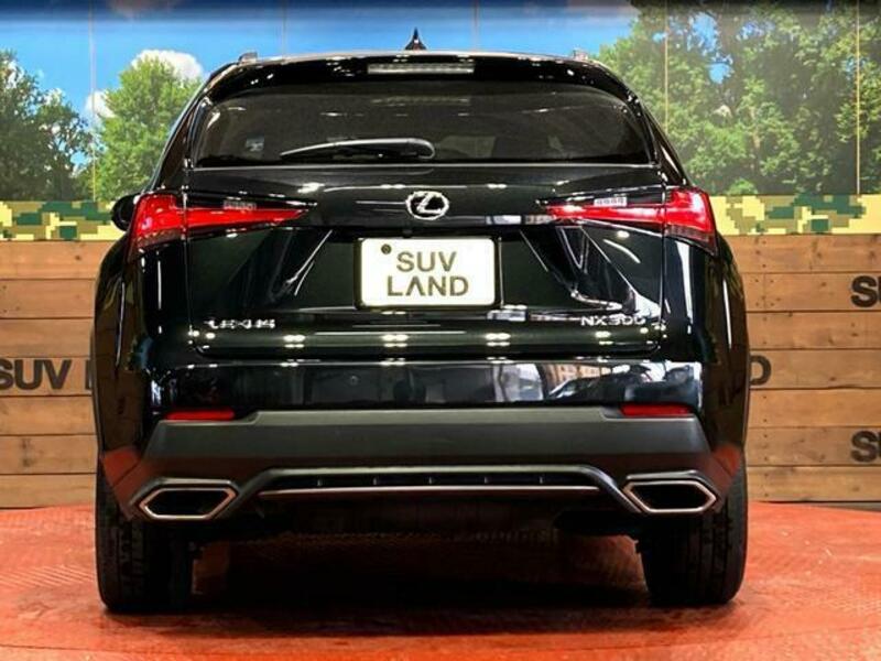 NX