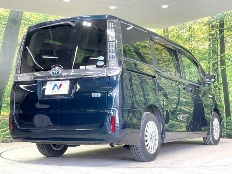 VOXY-17