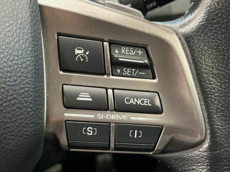 FORESTER-4