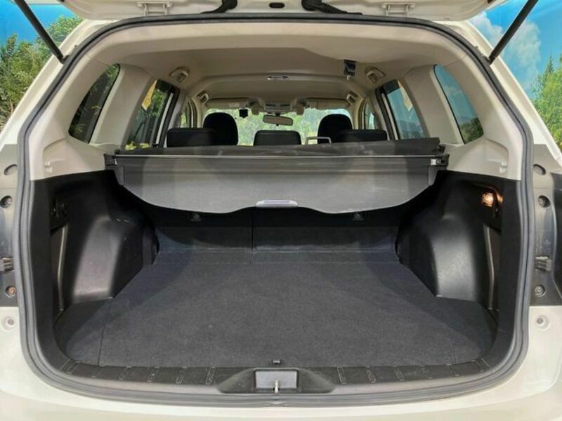 FORESTER-10