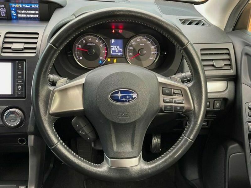 FORESTER-11