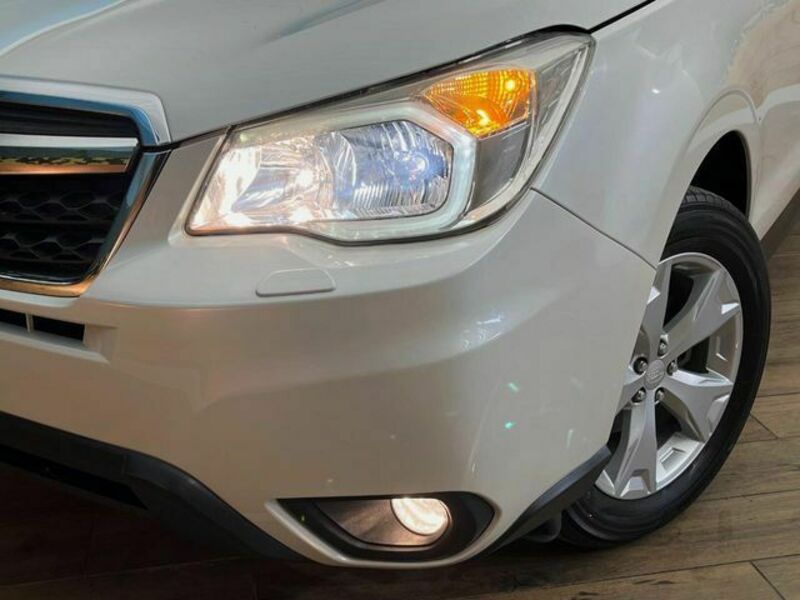 FORESTER-12