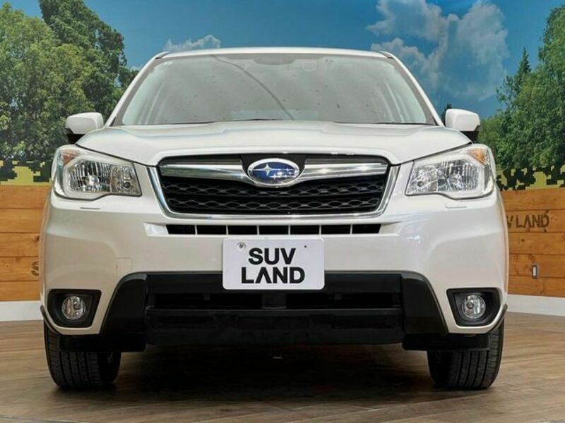FORESTER-14