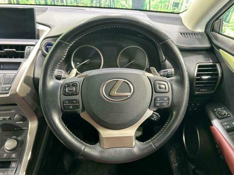 NX