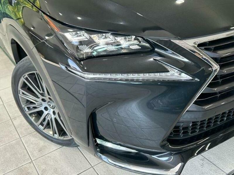 NX
