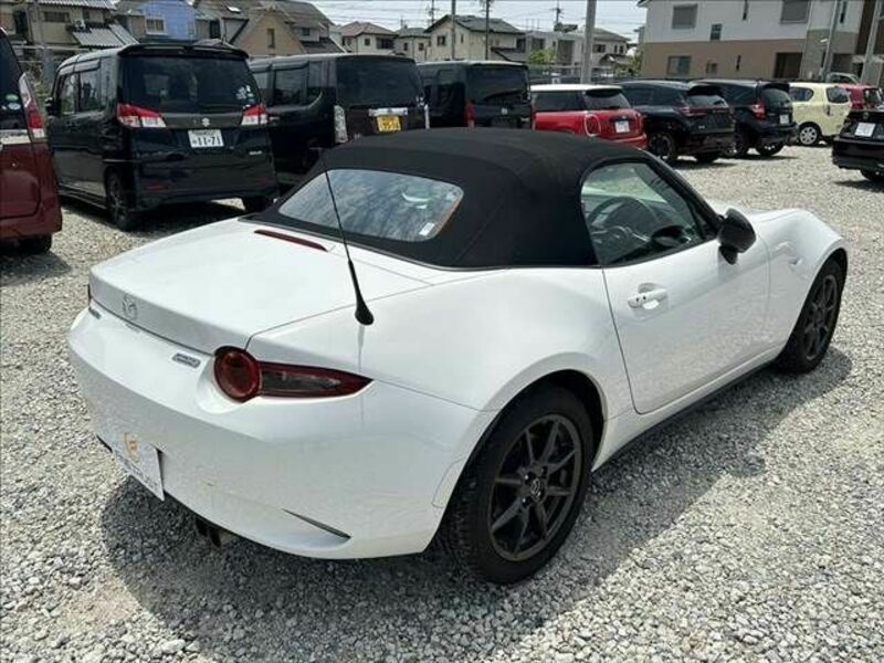 ROADSTER
