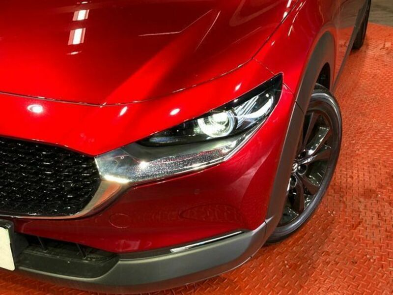 CX-30