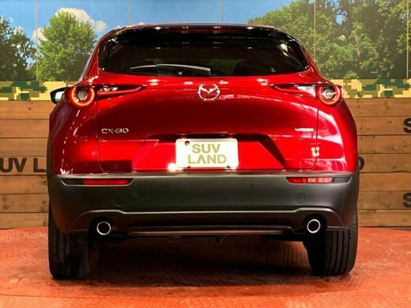 CX-30