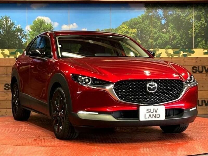 CX-30