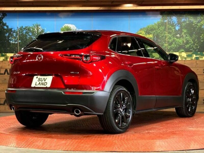 CX-30