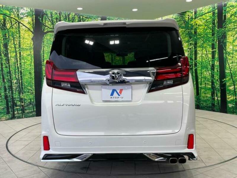 ALPHARD-16
