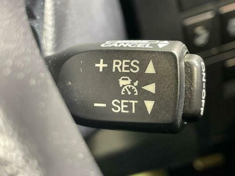 ALPHARD-6