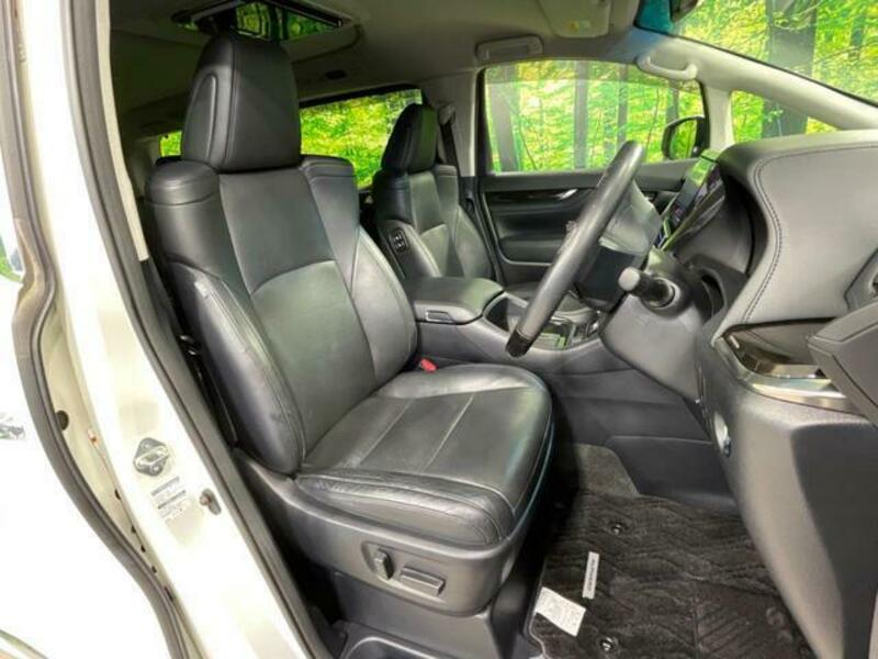 ALPHARD-10