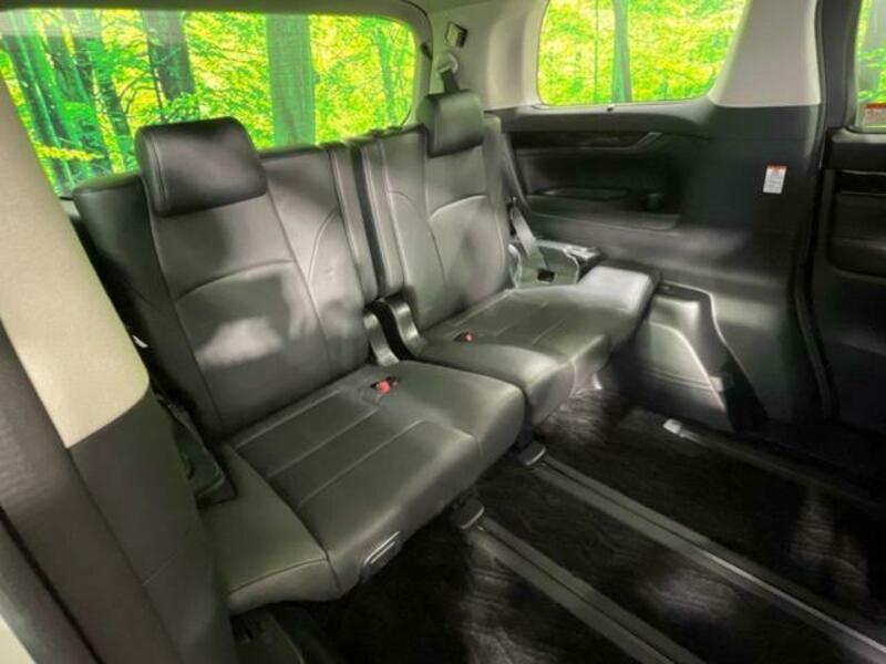 ALPHARD-12