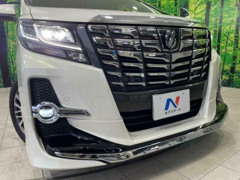 ALPHARD-13