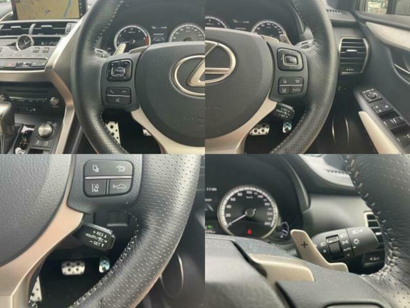NX