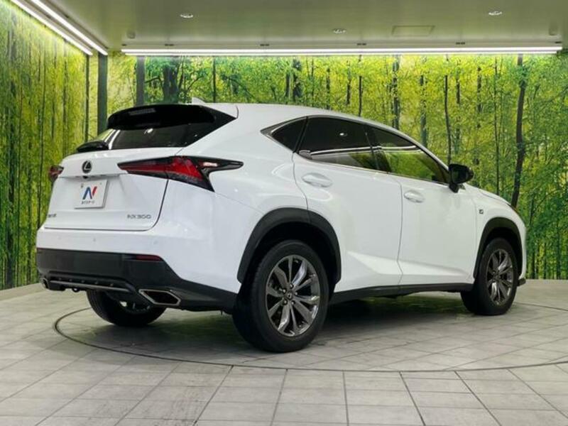 NX
