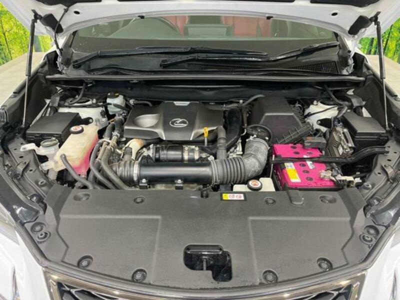 NX