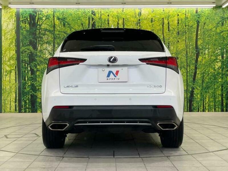 NX