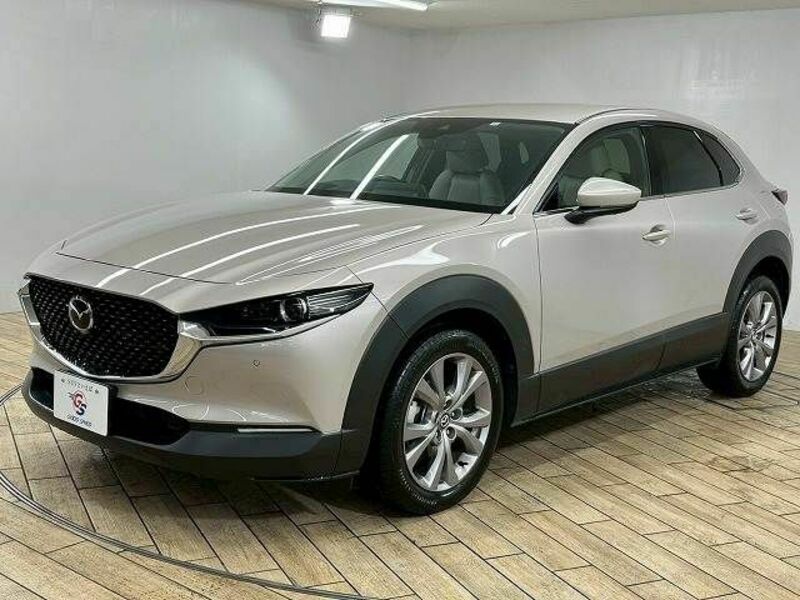 CX-30