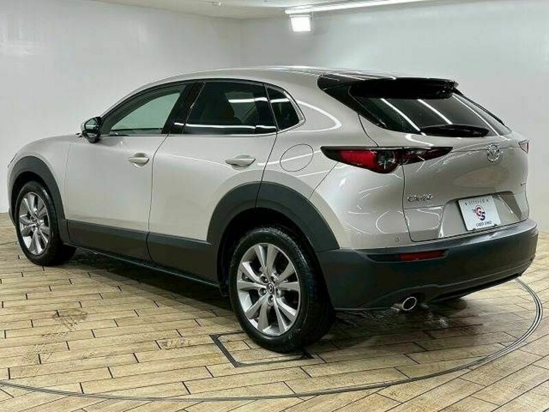 CX-30