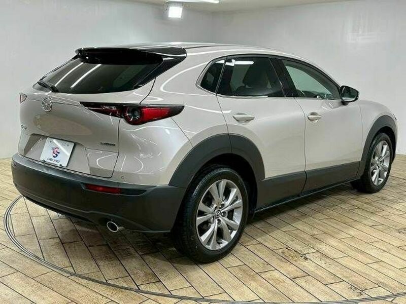 CX-30