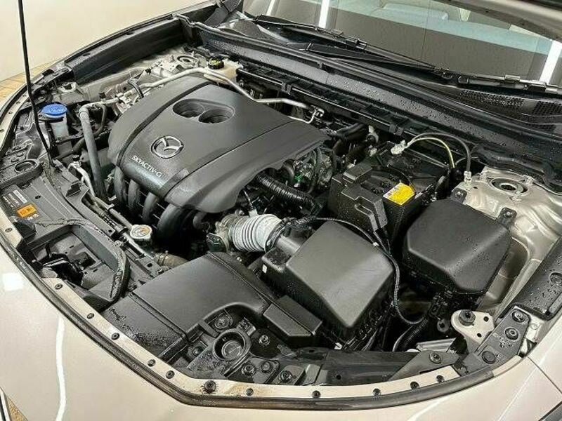 CX-30