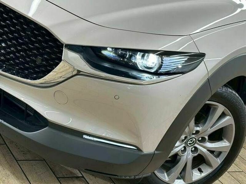 CX-30
