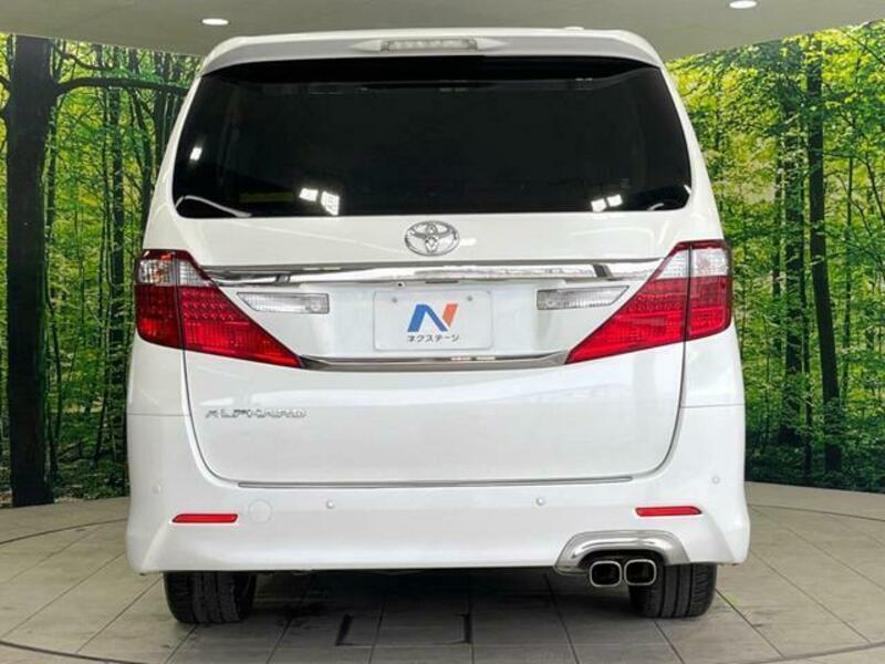 ALPHARD-15