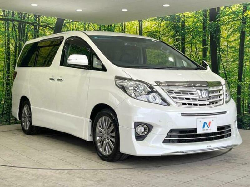 ALPHARD-16