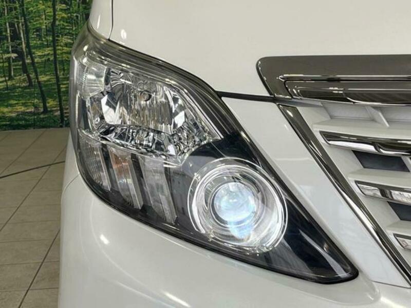 ALPHARD-12