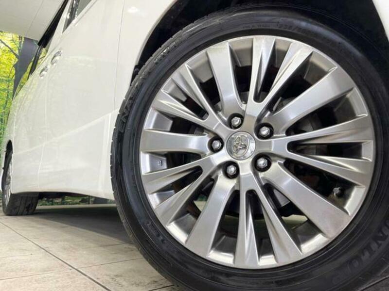 ALPHARD-13