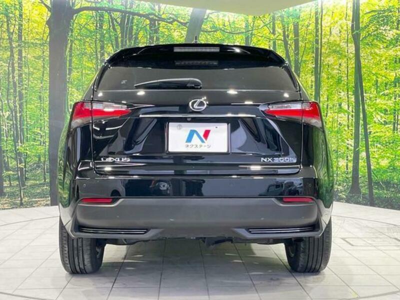 NX