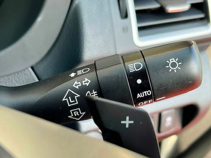XV