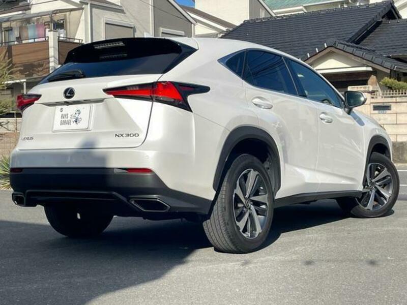 NX