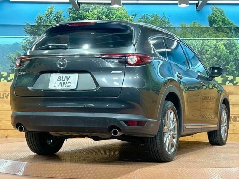 CX-8