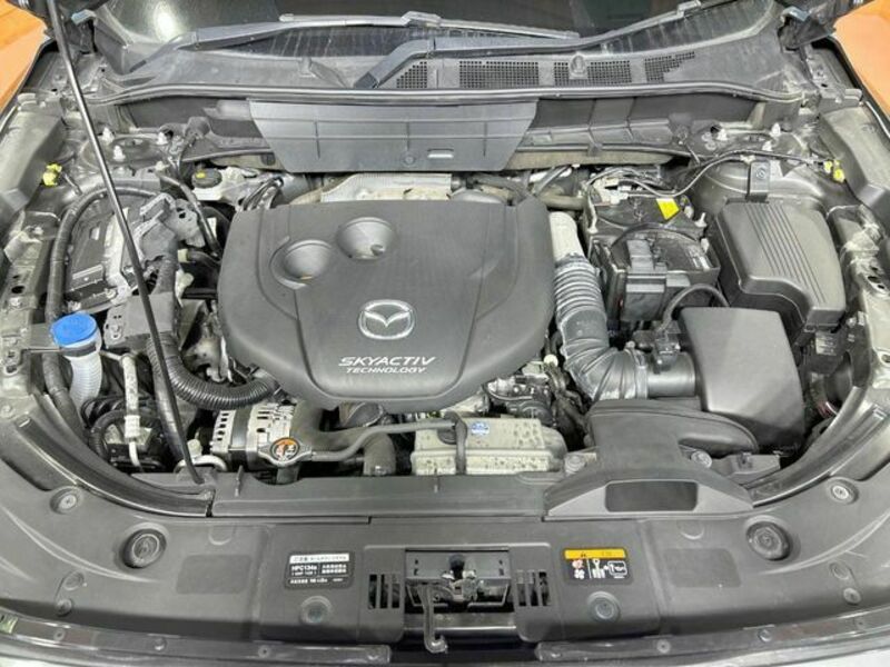 CX-8