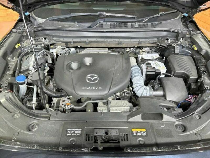 CX-8
