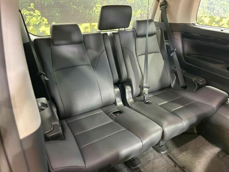 ALPHARD-10