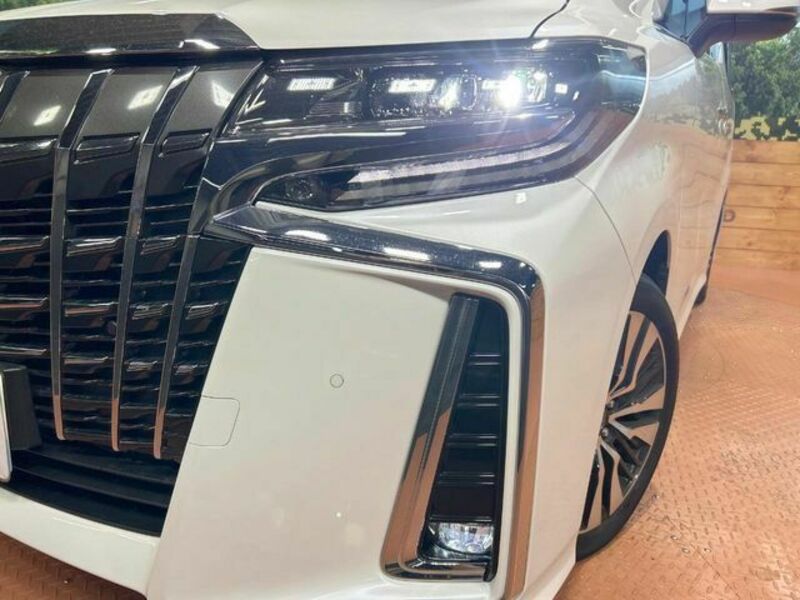 ALPHARD-12
